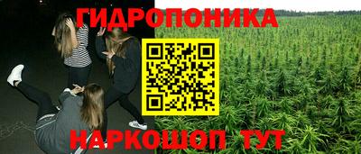 каннабис Кимры