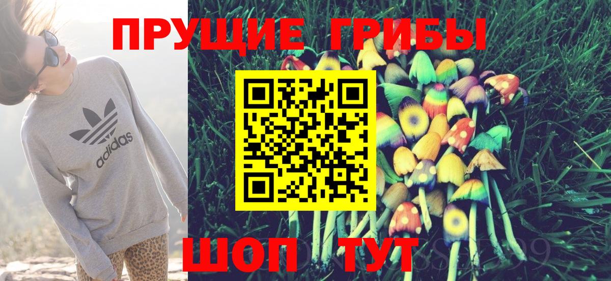Галлюциногенные грибы GOLDEN TEACHER  Вход с VPN  Сочи 