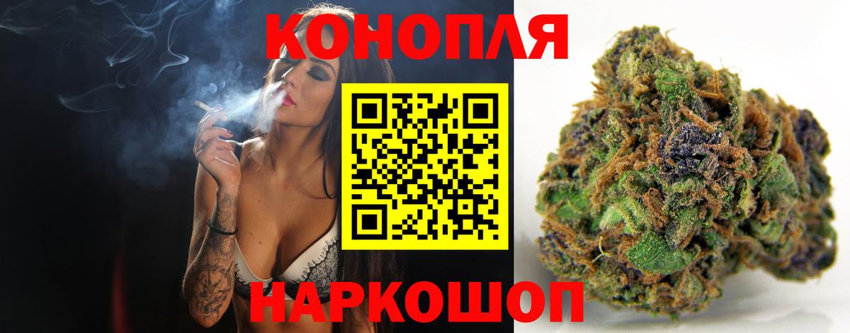 Шишки марихуана конопля Сочи